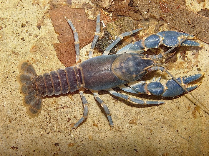 Herps 2005 (59) Normandy Coffee Co