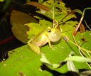 hjgfjjh 089 (2)