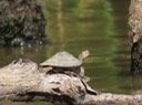 IMG_0058