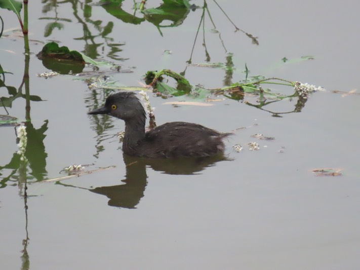 IMG_0214_South Texas