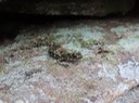 IMG_0678