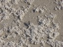 IMG_0821