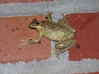 IMG 1785