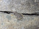 IMG_8008