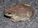 IMG_9537