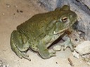 IMG_9570
