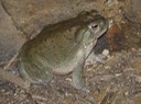 IMG_9683