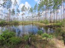 IMG_9739