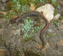 MHA Field Trip ? - 1 Crawford Co PSER