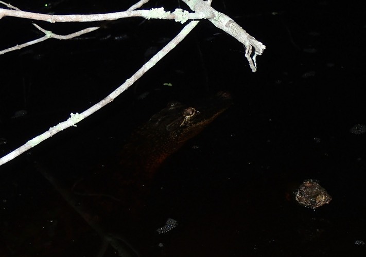 P5231844 (2)