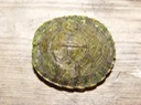 Reelfoot Herps 2 (51)